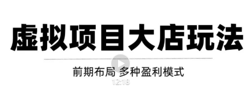 虚拟项目月入几万大店玩法分享，多店操作利润倍增（快速起店盈利）-599资源坊