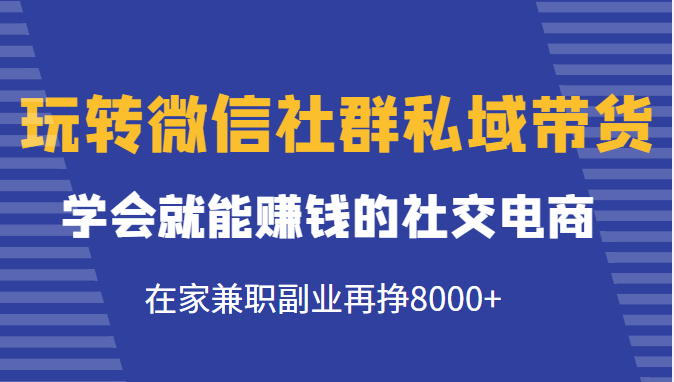 玩转微信社群私域带货，学会就能赚钱的社交电商，在家兼职副业再挣8000+-599资源坊