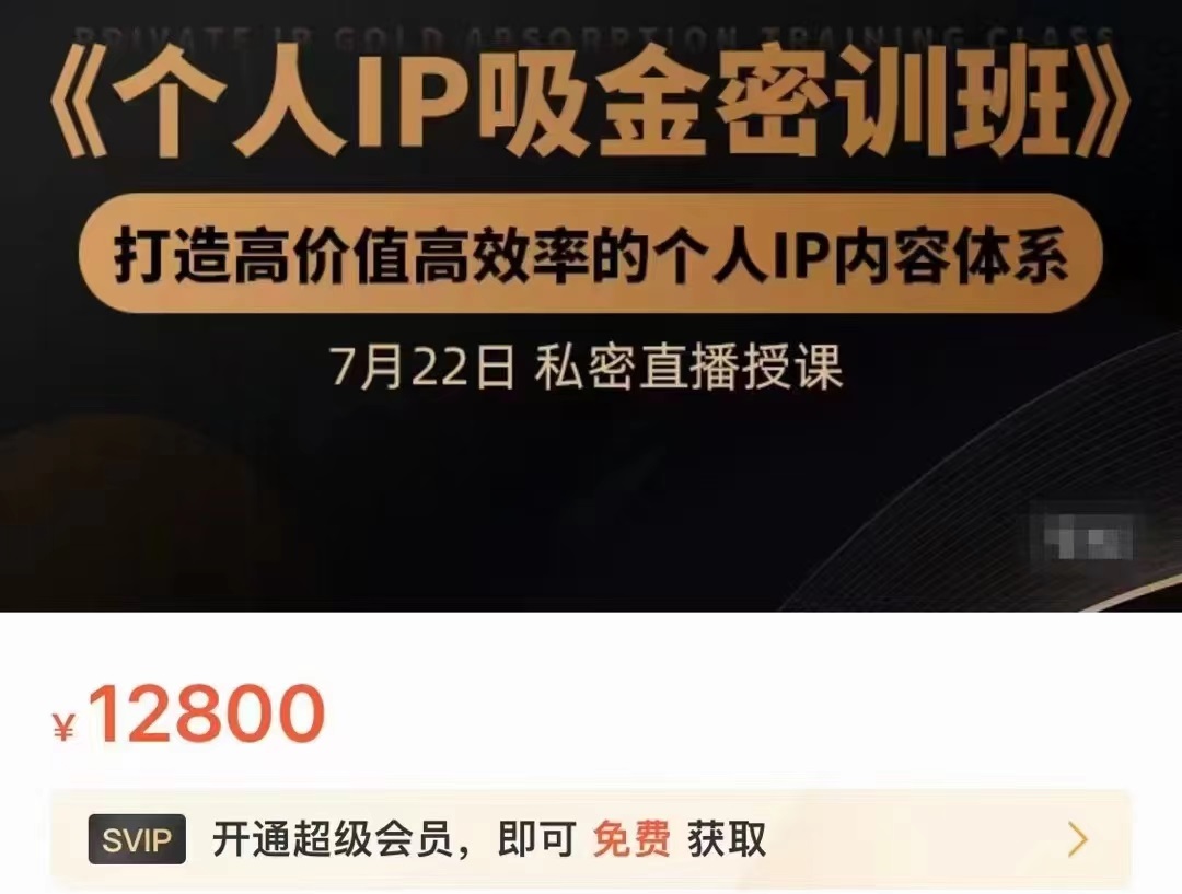 个人IP吸金密训班，打造高价值高效率的个人IP内容体系（价值12800元）-599资源坊