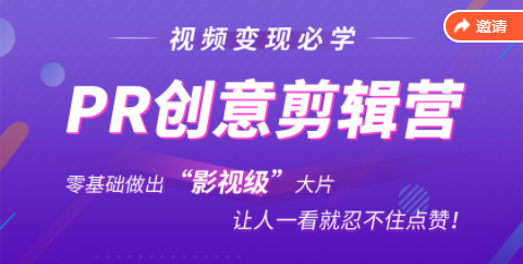 抖音赚钱必学的PR创意剪辑：零基础做出“影视级”大片，让人一看就忍不住为你点赞！-599资源坊