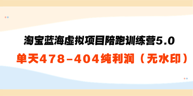 淘宝蓝海虚拟项目陪跑训练营5.0：单天478纯利润-599资源坊