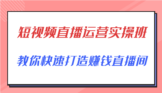 短视频直播运营实操班，直播带货精细化运营实操，教你快速打造赚钱直播间-599资源坊