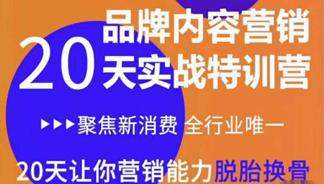 《内容营销实操特训营》20天让你营销能力脱胎换骨（价值3999）-599资源坊