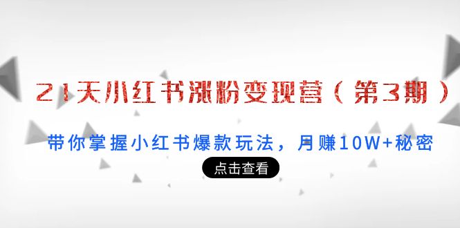 21天小红书涨粉变现营（第3期）：带你掌握小红书爆款玩法，月赚10W+秘密-599资源坊
