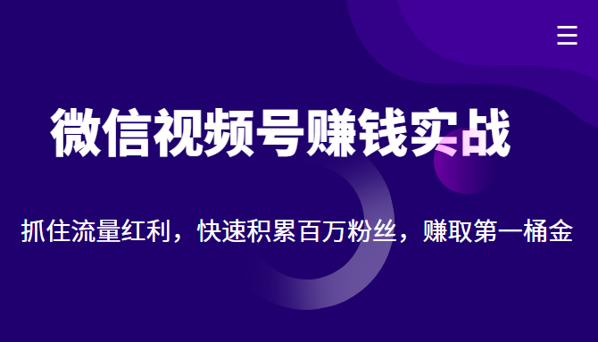 微信视频号赚钱实战：抓住流量红利，快速积累百万粉丝，赚取你的第一桶金-599资源坊