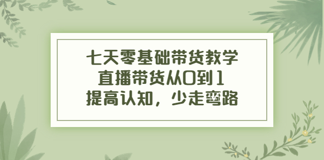 七天零基础带货教学，直播带货从0到1，提高认知，少走弯路-599资源坊