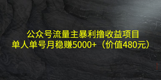 公众号流量主暴利撸收益项目，单人单号月稳赚5000+（价值480元）-599资源坊
