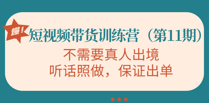 视频带货训练营，不需要真人出境，听话照做，保证出单（第11期）-599资源坊