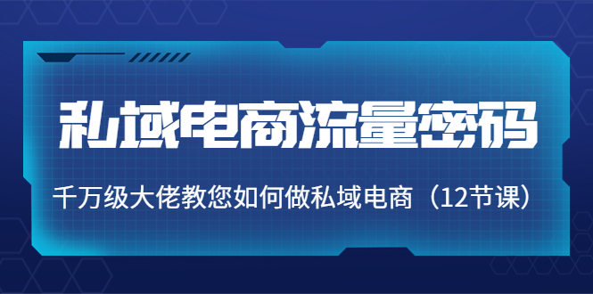 私域电商流量密码：千万级大佬教您如何做私域电商（12节课）-599资源坊