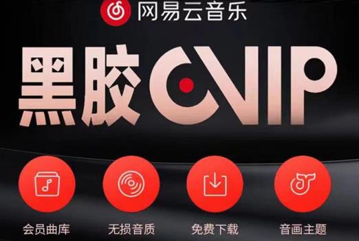 网易云音乐撸黑胶年卡及变现方法，收益可无限放大-599资源坊