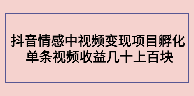 副业孵化营第5期：抖音情感中视频变现项目孵化 单条视频收益几十上百-599资源坊