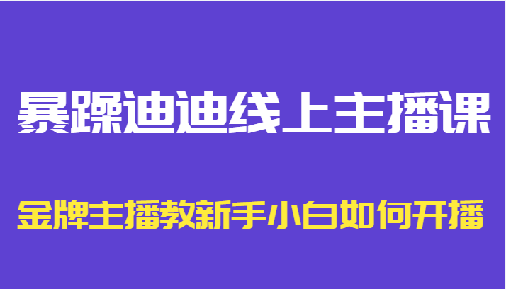 暴躁迪迪线上主播课，金牌主播教新手小白如何开播-599资源坊