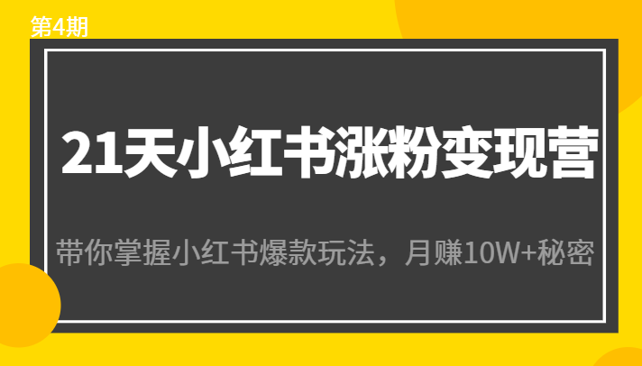 21天小红书涨粉变现营（第4期）：带你掌握小红书爆款玩法，月赚10W+秘密-599资源坊