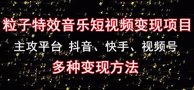 黄岛主《粒子特效音乐短视频变现项目》主攻平台抖音、快手、视频号多种变现方法-599资源坊