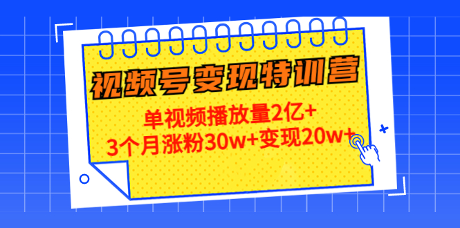 21天视频号变现特训营：单视频播放量2亿+3个月涨粉30w+变现20w+（第14期）-599资源坊