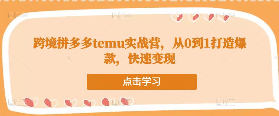 跨境拼多多temu实战营，从0到1打造爆款，快速变现-599资源坊