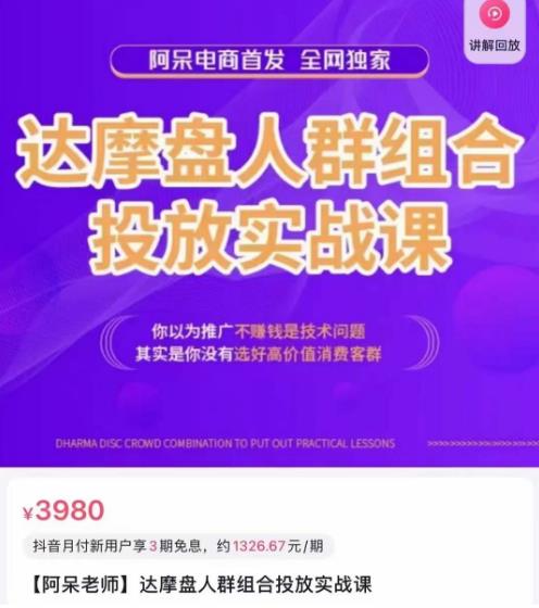 阿呆电商·达摩盘人群组合投放实战课，你以为推广不赚钱是技术问题，其实是你没有选好高价值消费客群-599资源坊