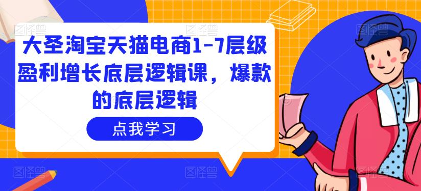 大圣淘宝天猫电商1-7层级盈利增长底层逻辑课，爆款的底层逻辑-599资源坊