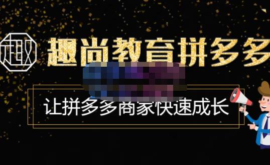 趣尚教育·拼多多运营实操VIP特训营，让拼多多商家快速成长-价值3180元-599资源坊