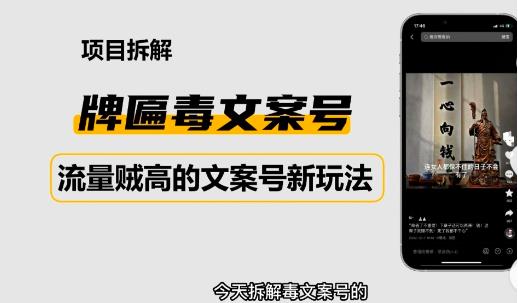 2023抖音快手毒文案新玩法，牌匾文案号，起号快易变现-599资源坊