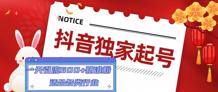 抖音独家起号，一天引流500+精准粉，适合各类行业（9节视频课）-599资源坊