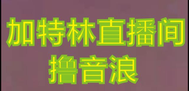 抖音加特林直播间搭建技术，抖音0粉开播，暴力撸音浪，2023新口子，每天800+【素材+详细教程】-599资源坊