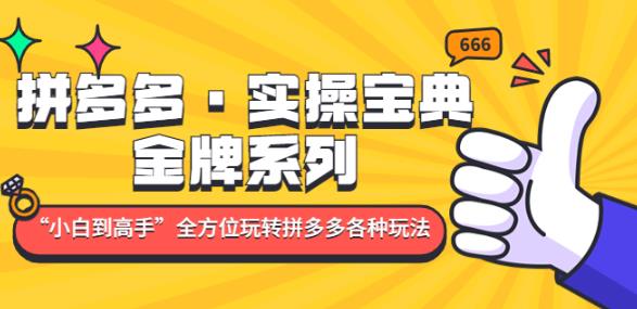 拼多多·实操宝典：金牌系列“小白到高手”带你全方位玩转拼多多各种玩法-599资源坊