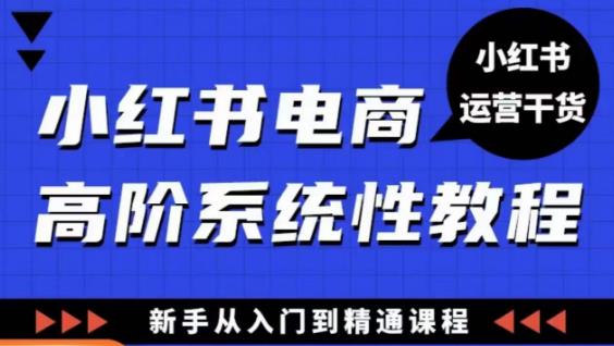 小红书电商高阶系统教程，新手从入门到精通系统课-599资源坊