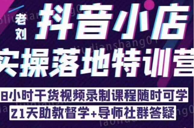 抖音小店实操落地特训营：抖音小店无货源精细化运营，抖店商品卡流量（22节）-599资源坊