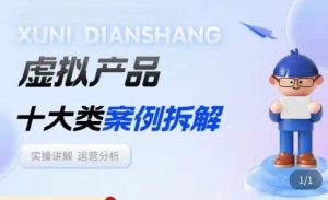 虚拟产品项目拆解课,十大类案例拆解分析运营玩法-599资源坊