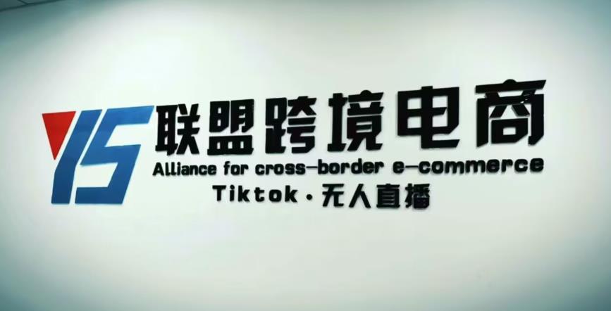 YS联盟·Tiktok无人直播，不出镜不剪辑不拍摄不发货无售后的跨境短视频躺赚玩法-599资源坊