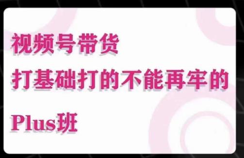 大播汇·视频号带货Puls班，视频号底层逻辑，起号自然流鱼塘等玩法-599资源坊