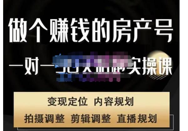 刘广标·同城房产号线上陪跑课，拍摄、剪辑、写文案、直播，做一个具有潜力价值的房产号-599资源坊