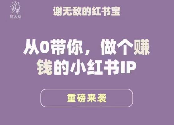 谢无敌·小红书运营大宝典，从0带你做个赚钱的小红书IP-599资源坊