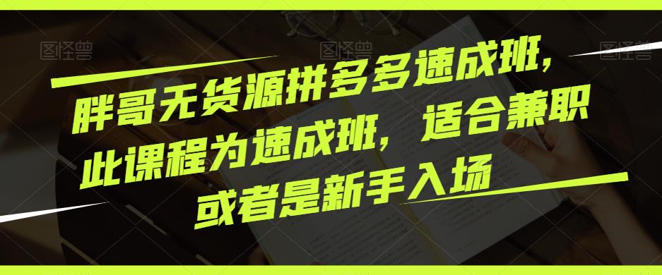 胖哥无货源拼多多速成班，此课程为速成班，适合兼职或者是新手入场-599资源坊