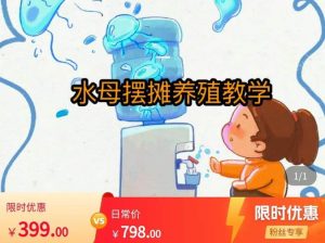 水母摆摊教学，包括摆摊技术、养殖技术、拿货渠道、抖音运营等-599资源坊