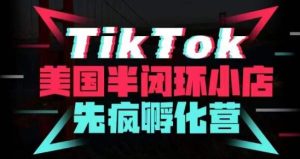 疯人院·TikTok美国半闭环小店孵化营，抢占TikTok美国蓝海市场，开店、运营、带货、投流全实操-599资源坊