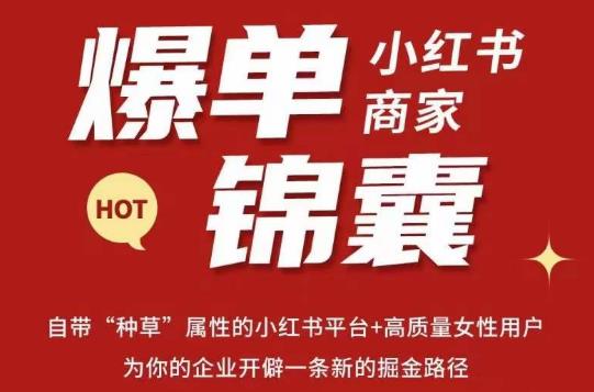 无畏·小红书商家爆单锦囊，掌握小红书各大规则，快速精准抢占行业和市场-599资源坊