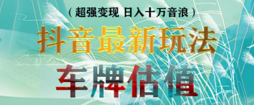 抖音最新无人直播变现直播车牌估值玩法项目，轻松日赚几百+【详细玩法教程】-599资源坊