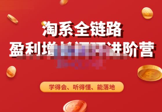 淘系全链路盈利增长闭环进阶营，融合全店动销，学得会、听得懂、能落地！-599资源坊