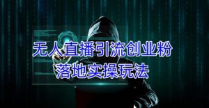 外面收费3980的无人直播引流创业粉落地实操玩法,单日引100+精准创业粉-599资源坊