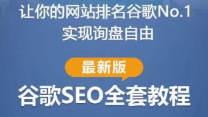 谷歌SEO实战教程:如何让你的网站在谷歌排名第一,内容从入门到高阶,适合个人及团队-599资源坊