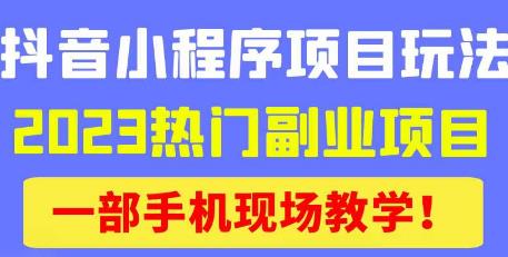 抖音小程序9.0新技巧，2023热门副业项目，动动手指轻松变现-599资源坊