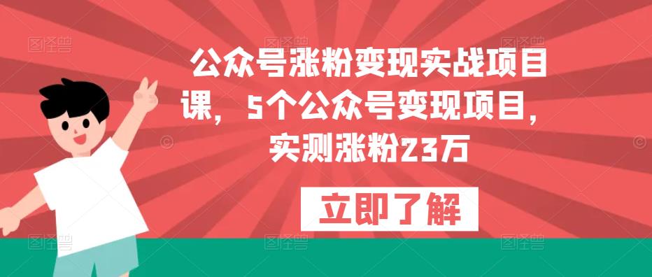 公众号涨粉变现实战项目课，5个公众号变现项目，实测涨粉23万-599资源坊