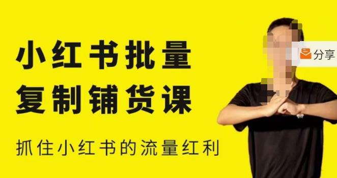 张宾·小红书批量复制铺货课，小红书0-1快速起号变现玩法，抓住小红书的流量红利（更新2023年3月）-599资源坊