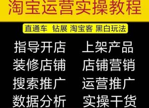 2023淘宝开店教程0基础到高级全套视频网店电商运营培训教学课程-599资源坊