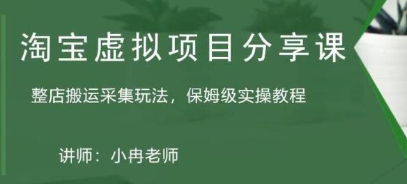 淘宝虚拟整店搬运采集玩法分享课：整店搬运采集玩法，保姆级实操教程-599资源坊