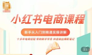 小红书电商新手入门到精通实操课,从入门到精通做爆款笔记,开店运营-599资源坊