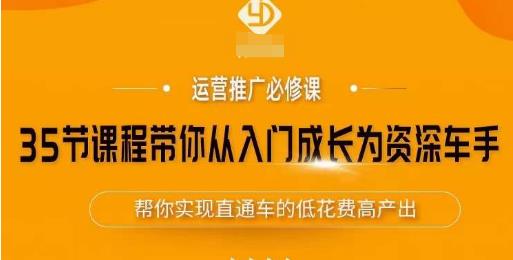 35节课程带你从入门成长为资深车手，让系统学习直通车成为可能，帮你实现直通车的低花费高产出-599资源坊