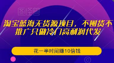 淘宝蓝海无货源项目，不囤货不推广只做冷门高利润代发，花一半时间赚10倍钱-599资源坊